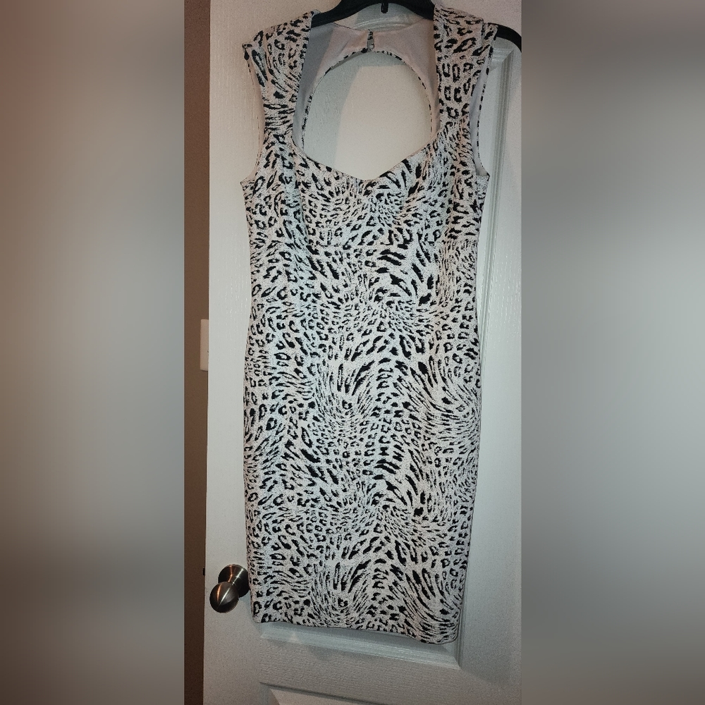 Cache Dress - Picture 7 of 8